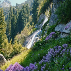 Waterfall with flowers